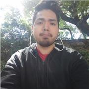 Entrenamiento personalizado online dieta y rutina plan mensual